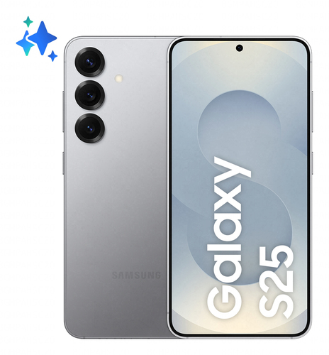 Samsung Galaxy S25 512GB Zilver 5G