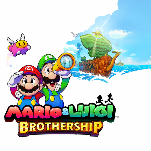 Nintendo Mario & Luigi Brothership Nintendo Switch