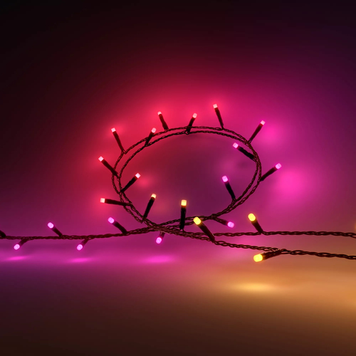 Philips Hue Festavia lichtsnoer - 20 meter - 250 LEDs