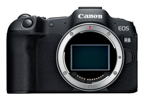 Canon EOS R8 + RF 24-50mm lens
