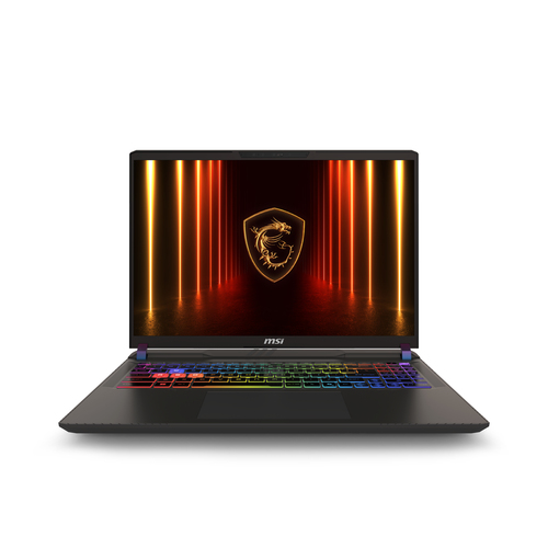 MSI Vector A16 HX A8WIG-025NL AMD Ryzen 9 8940HX laptop 40,6 cm (16") Quad HD+ 16