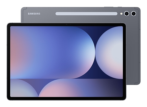 Samsung Galaxy Tab S10 Plus 12,4 inch 256GB Wifi + 5G Grijs