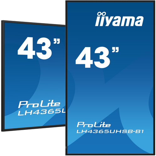 iiyama 43 inch levendig helder beeldscherm